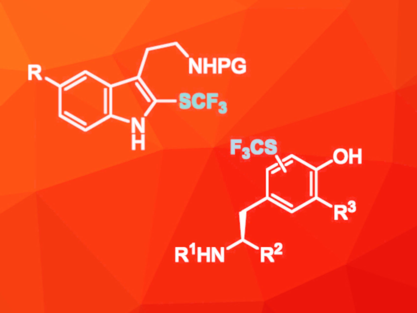 Un article de ChemistryViews met en valeur les travaux récents de l'équipe